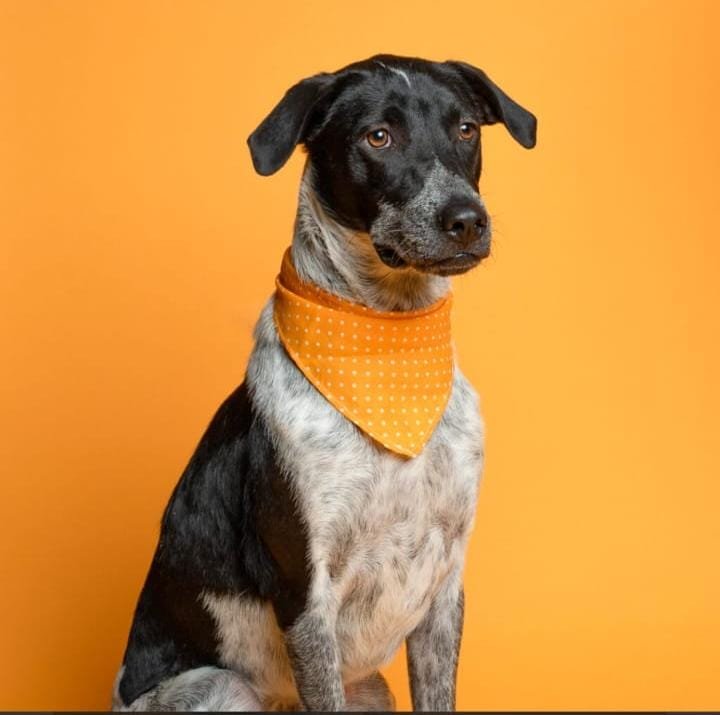 imagen de whatsapp 2025 11 05 a las 10.35.00 fbf3bff9 imagen de whatsapp 2025 11 05 a las 10.35.00 fbf3bff9